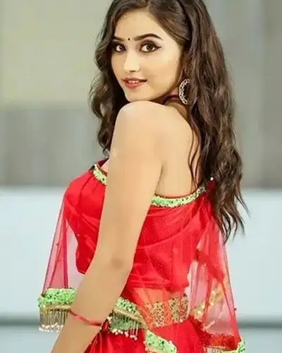 Call Girls Service Mettupalayam